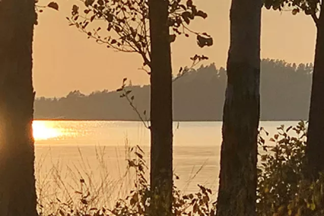 View of a lake with trees in the foreground at sunset. Photo.